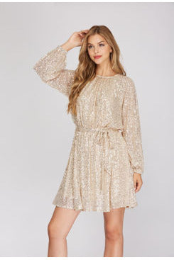 Rylie Long Sleeve Sequin Dress 2 Colors