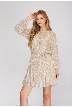 Long Sleeve Sequin Dress 2 Colors